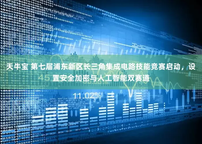 天牛宝 第七届浦东新区长三角集成电路技能竞赛启动，设置安全加密与人工智能双赛道