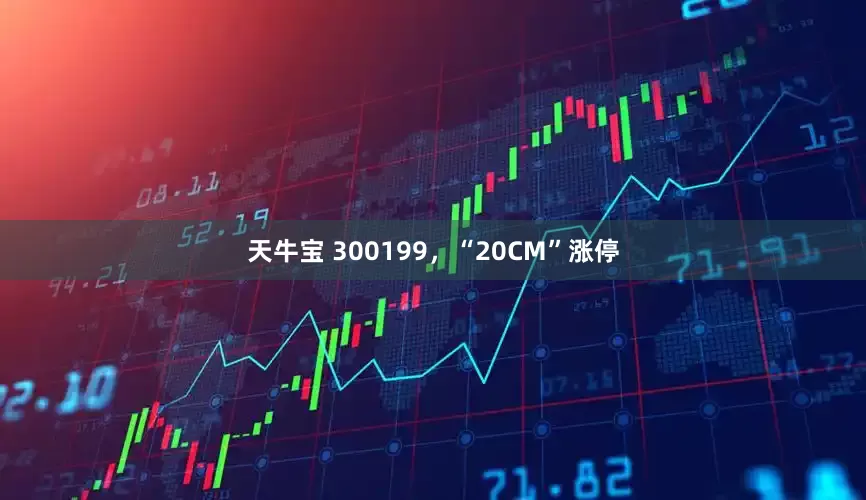天牛宝 300199，“20CM”涨停